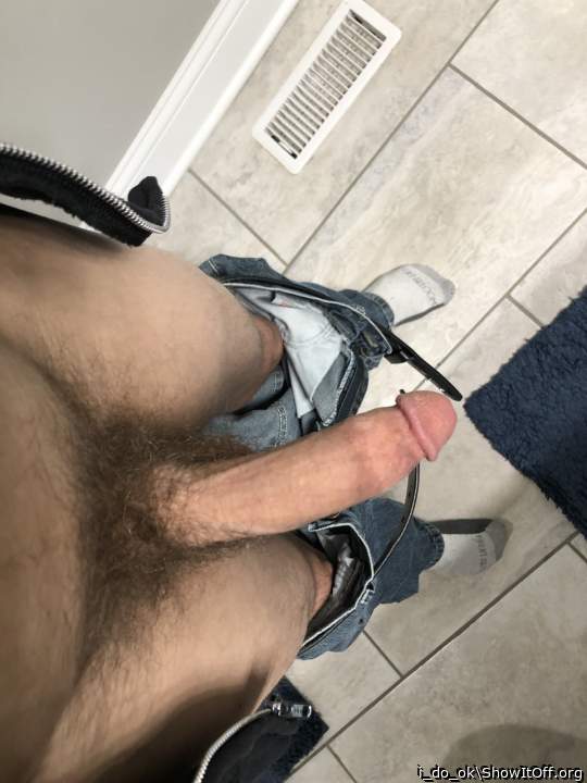 Photo of a cavalier from i_do_ok
