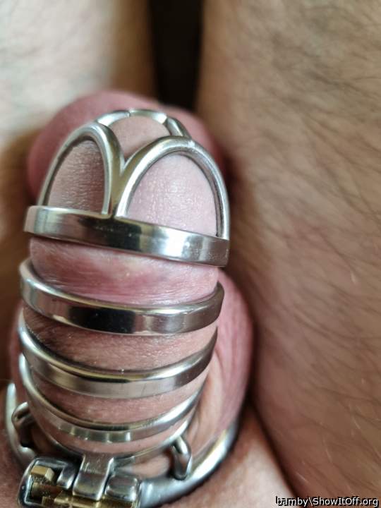 Adult image from bamby