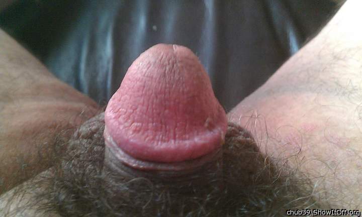 Photo of a bald-headed mouse from chub39