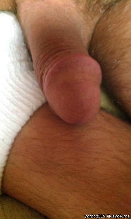 Photo of a love muscle from yardog319