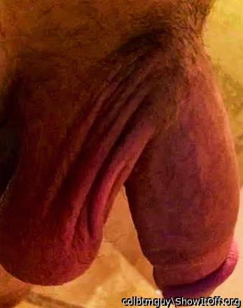 Photo of a third leg from colbtmguy