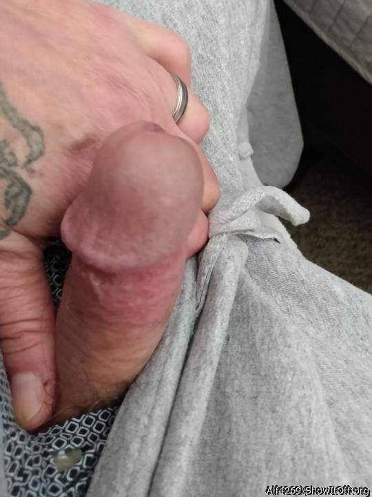 Photo of a penile from Alf4269