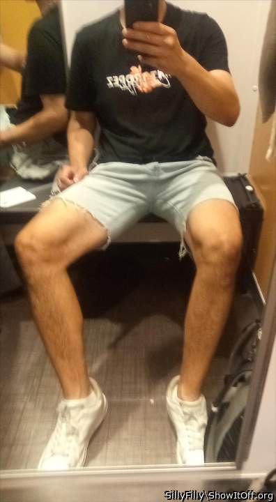 Photo of a weasel from SillyFilly