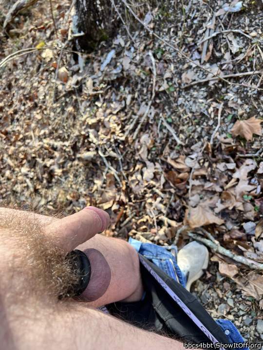Photo of a middle leg from bbcs4bbt