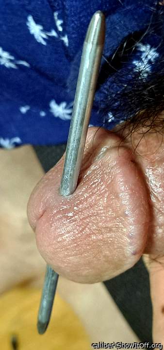 Photo of a middle leg from caliber