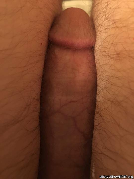 nice large cock 