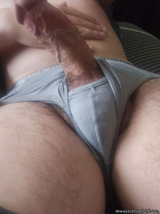 Photo of a weasel from Always