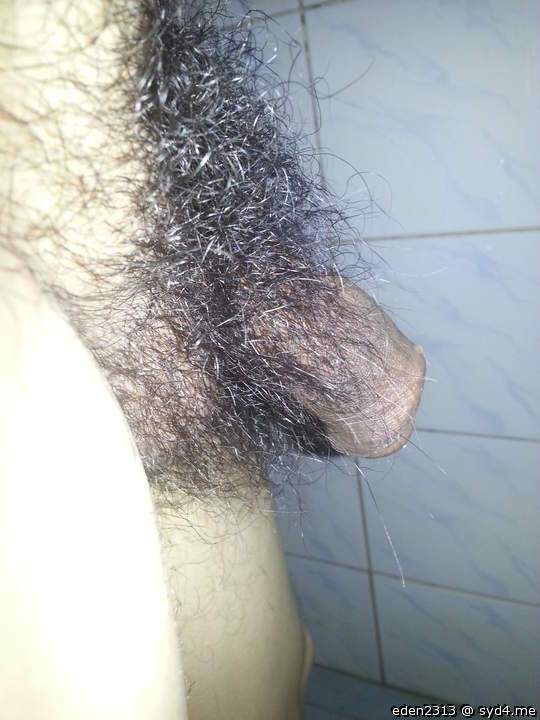 Photo of a cock from eden2313