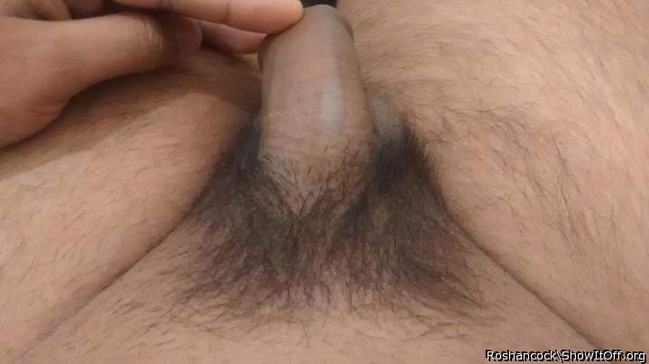 Photo of a horn from roshancock