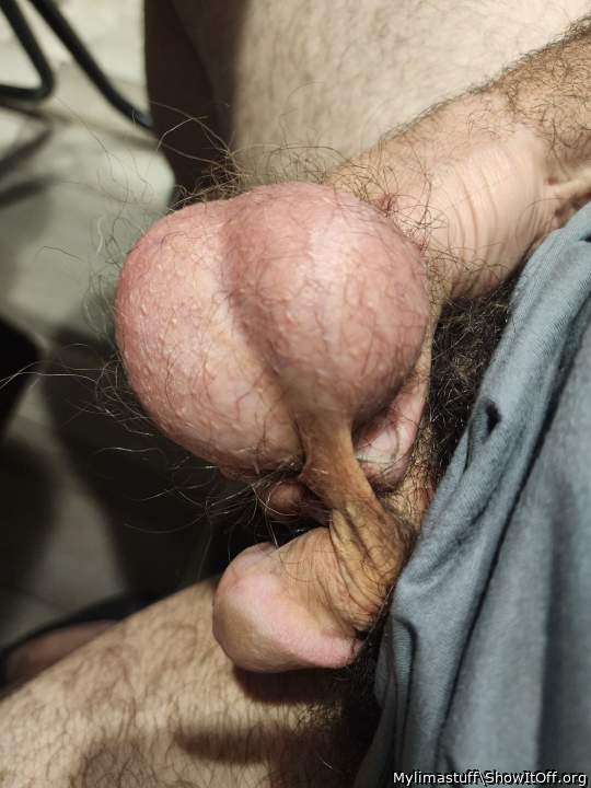 My nuts!