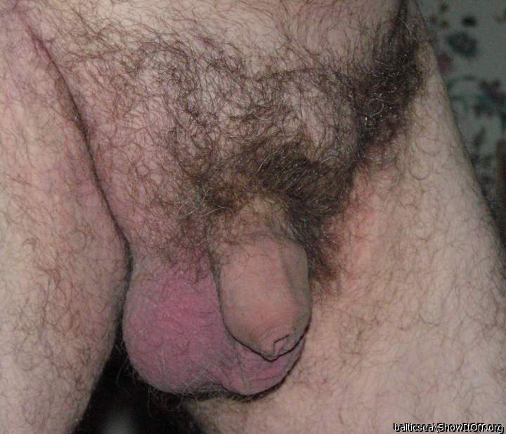 beautiful hairy dick  