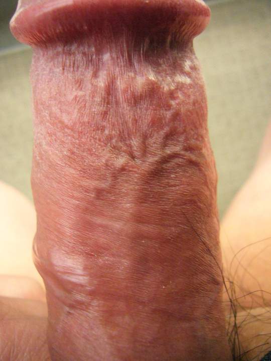 matango 2