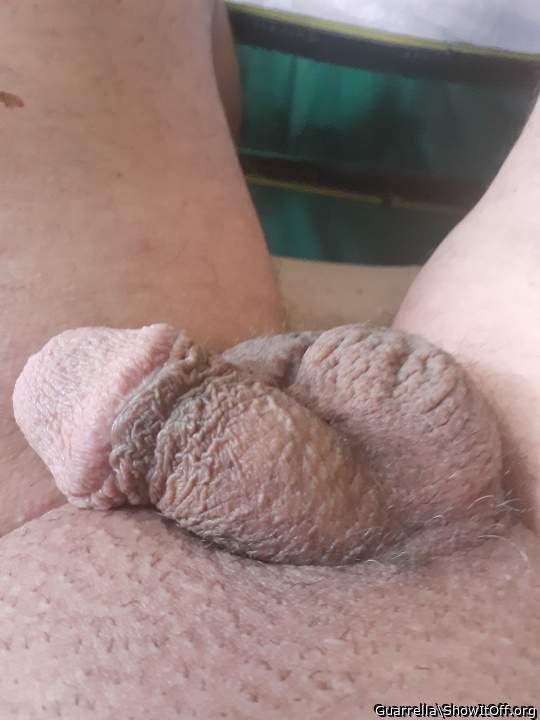 Photo of a drain pipe from Guarrella