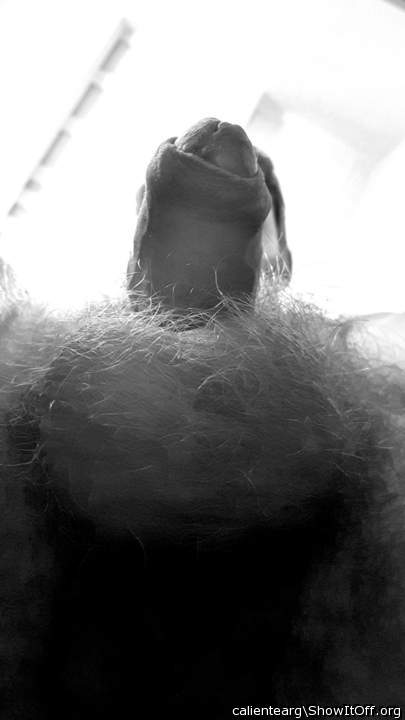 Photo of a short leg from calientearg