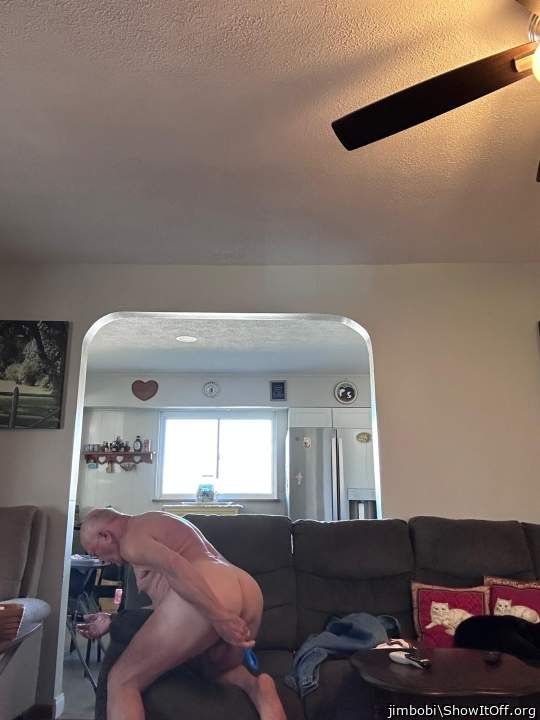 Photo of a middle leg from jimbobi