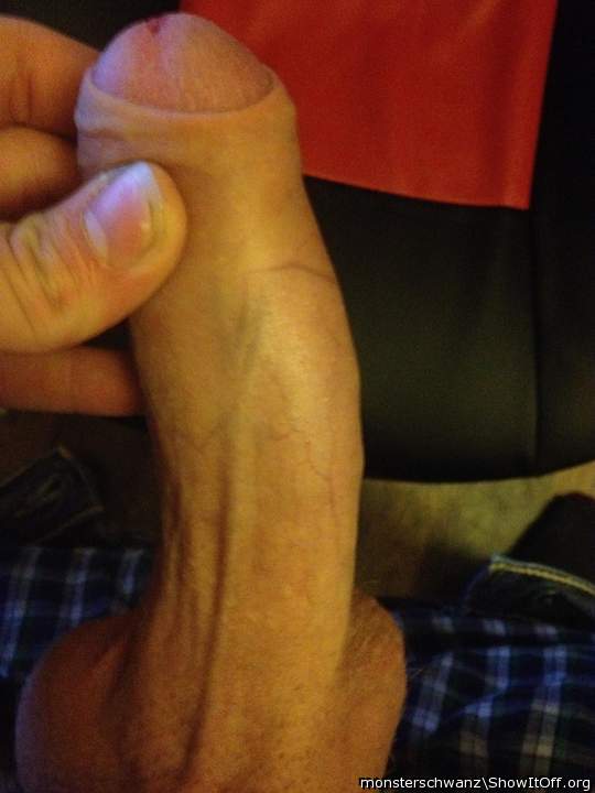 Photo of a pecker from monsterschwanz