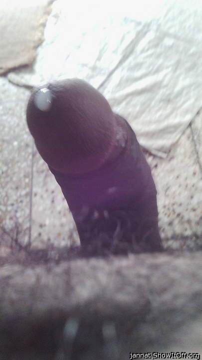 Photo of a bald-headed mouse from jannat