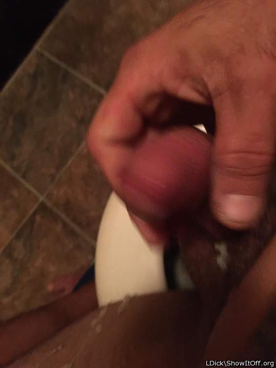 Photo of a meat stick from LDick
