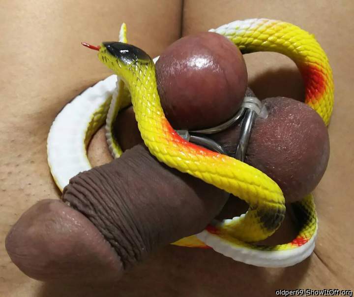 My pet.
