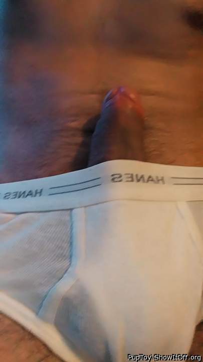 Photo of a short leg from PupToy