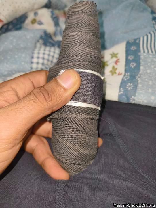 Photo of a middle leg from Master