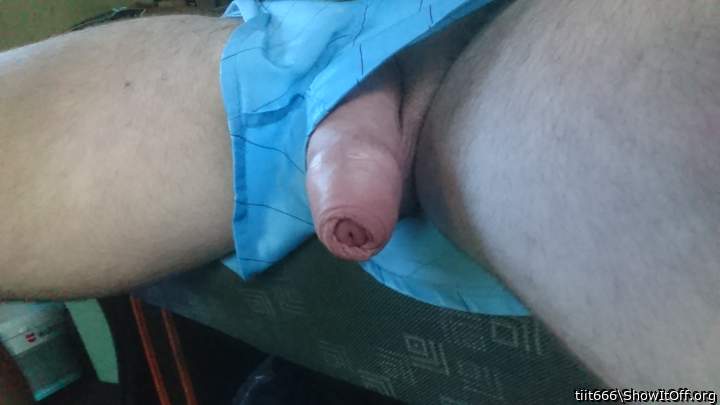 Photo of a penis from tiit666