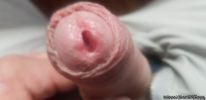 So nice. I love uncut dick