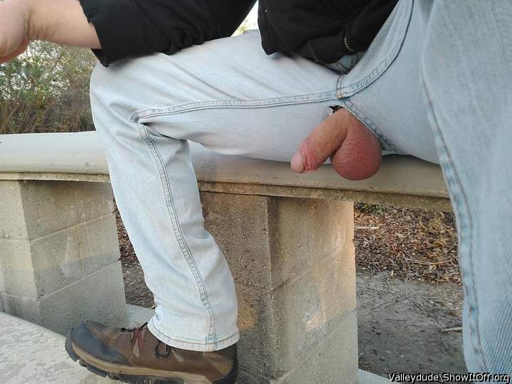 Hanging at the park