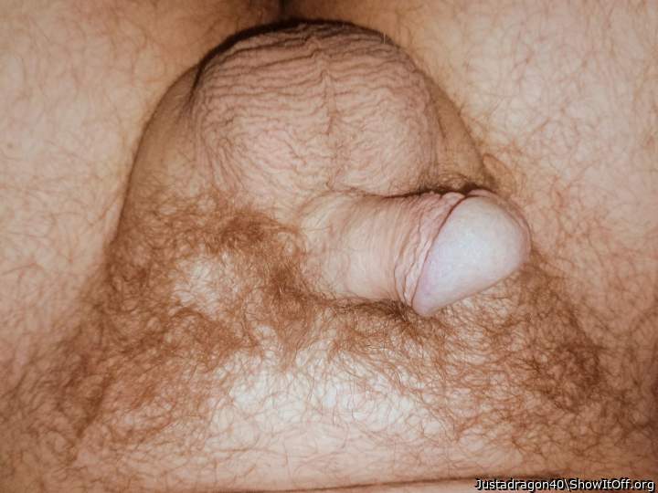Photo of a short leg from Justadragon40