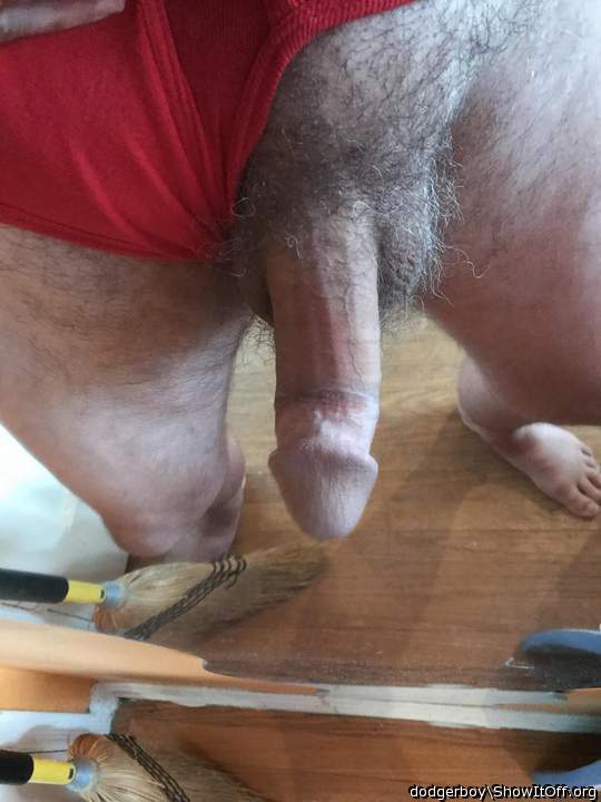 Photo of a weasel from dodgerboy