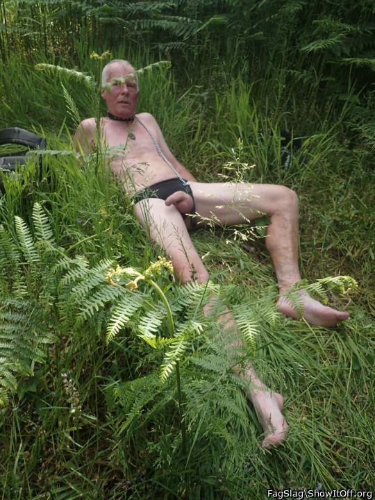 Photo of a stiffie from FagSlag