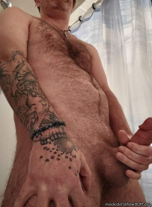 Photo of a cavalier from mockidol