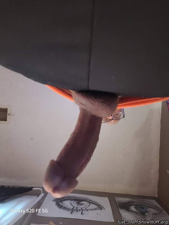 Photo of a bat from Just_Josh