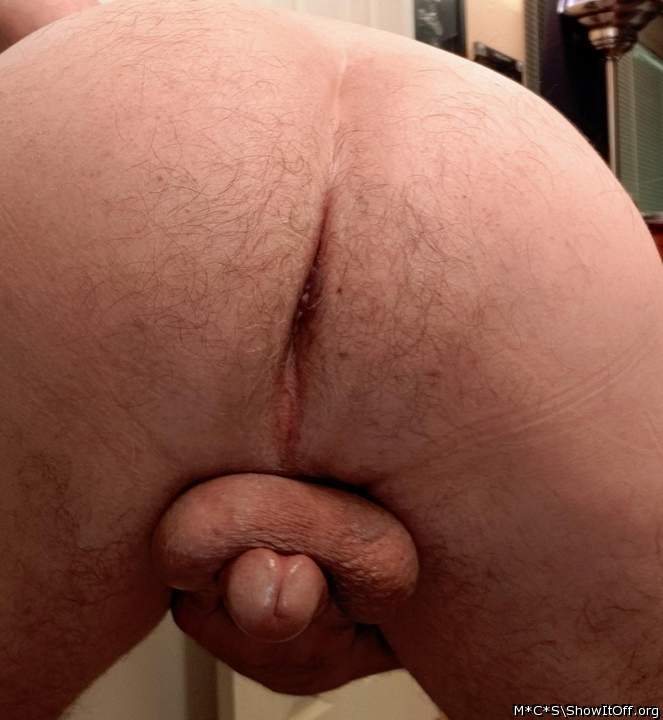 Photo of a middle leg from M*C*S