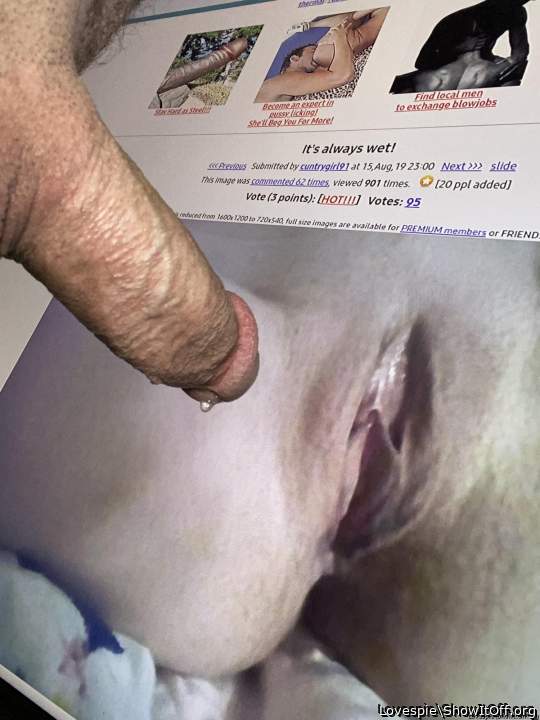 Photo of a pecker from Lovespie