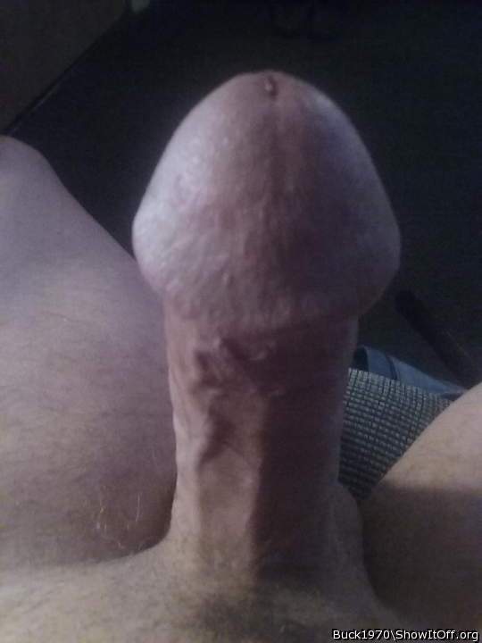 Nice cock like the head