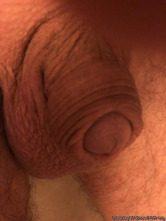 Photo of a middle leg from brewsky47