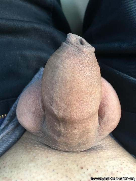 Photo of a schlong from ilovemydick