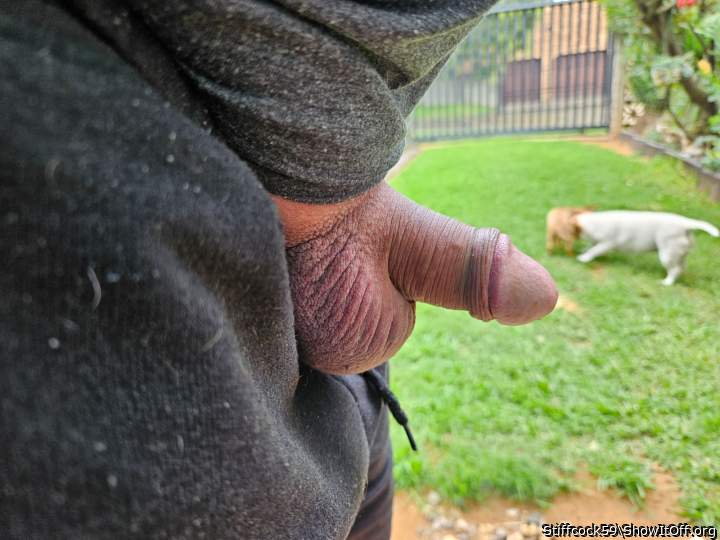 Photo of a third leg from Stiffcock59