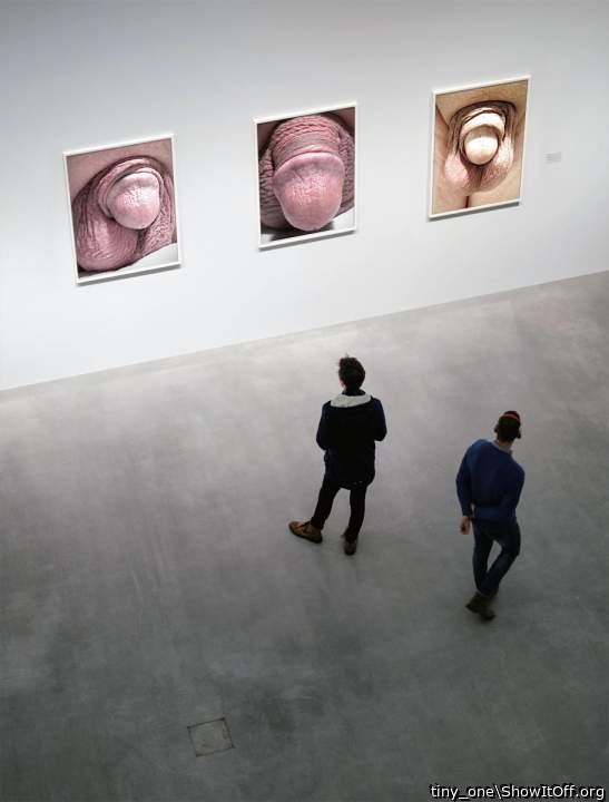 My dick was in a gallery exhibition