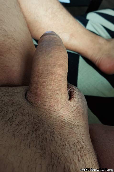 Photo of a hot dog from evil69