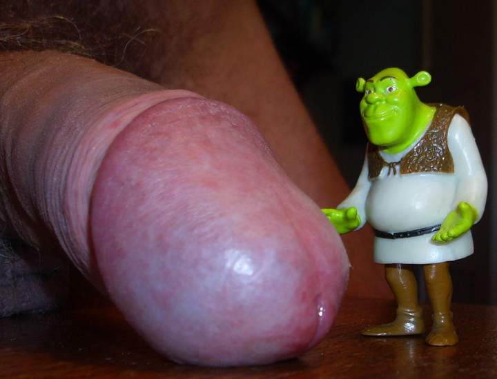 Bei dem groen Teil wird Shrek 1 Schreck bekommen  