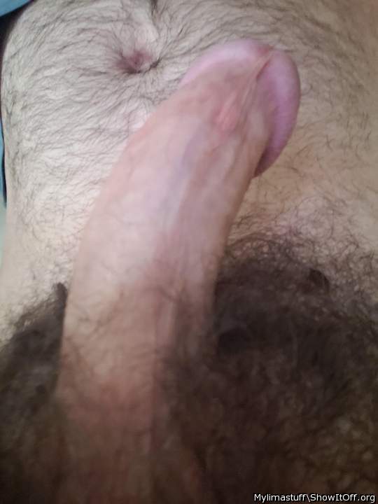 Photo of a hot dog from Mylimastuff
