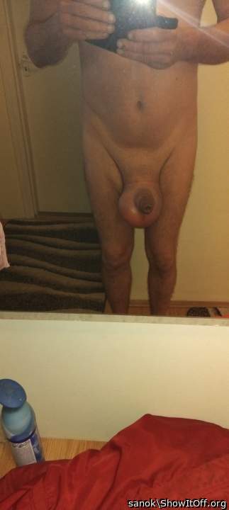 Testicles Photo from sanok