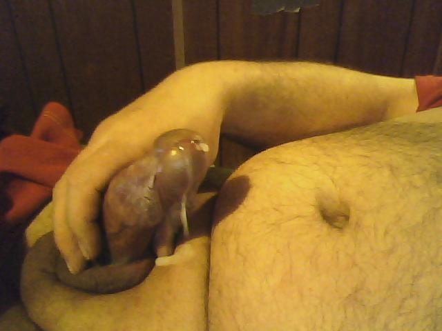 Photo of a bald-headed mouse from avgcock