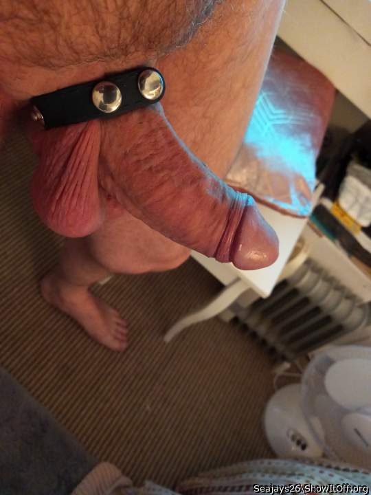 Photo of a horn from Seajays26