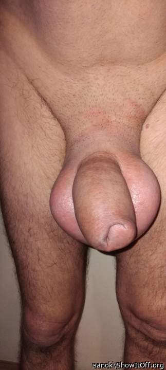 Testicles Photo from sanok