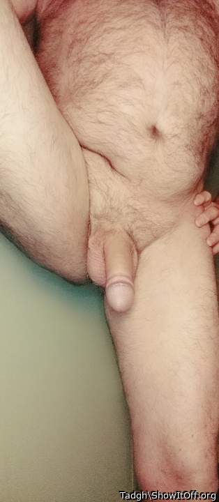 Photo of a middle leg from Tadgh