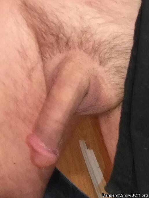 Photo of a cock from Denpenn