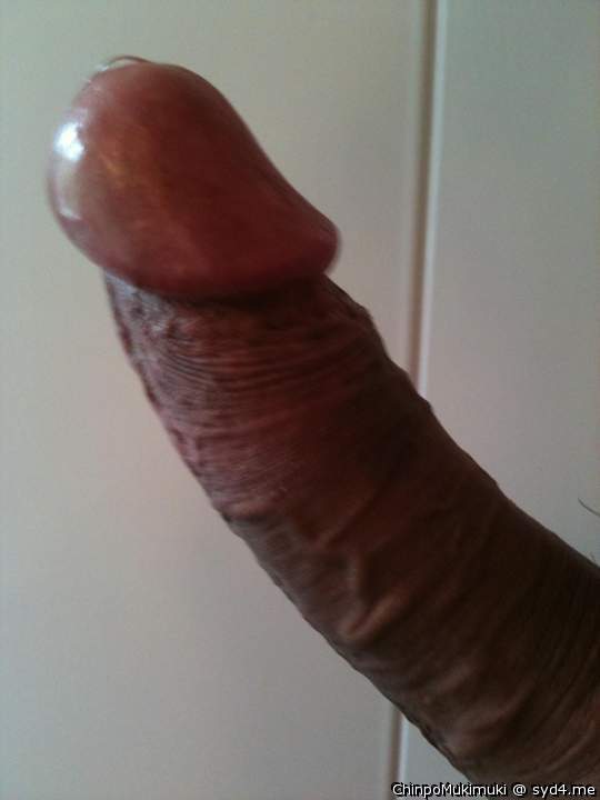 Photo of a ram rod from ChinpoMukimuki